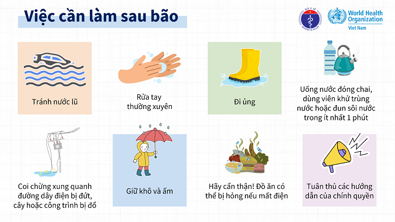 Việc cần làm sau bão